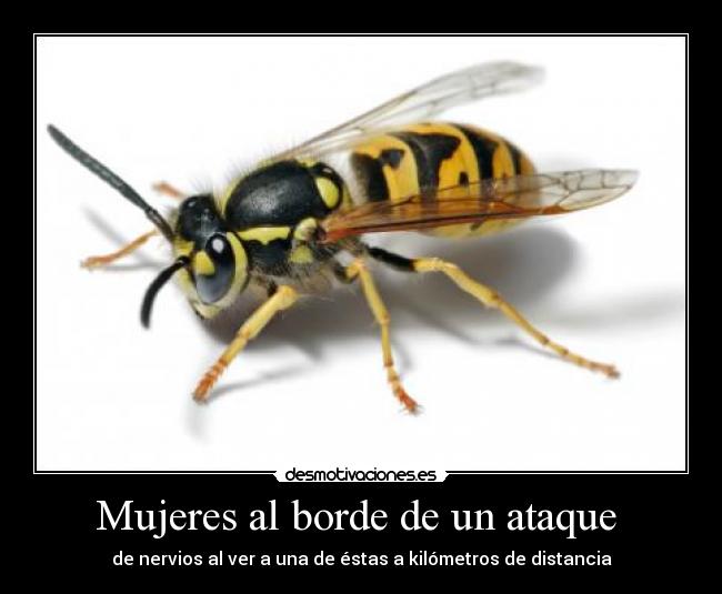 Mujeres al borde de un ataque -