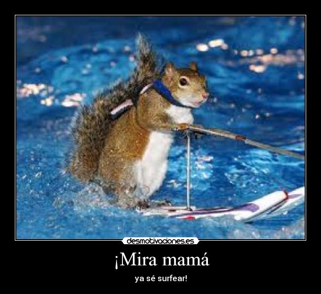 ¡Mira mamá - ya sé surfear!