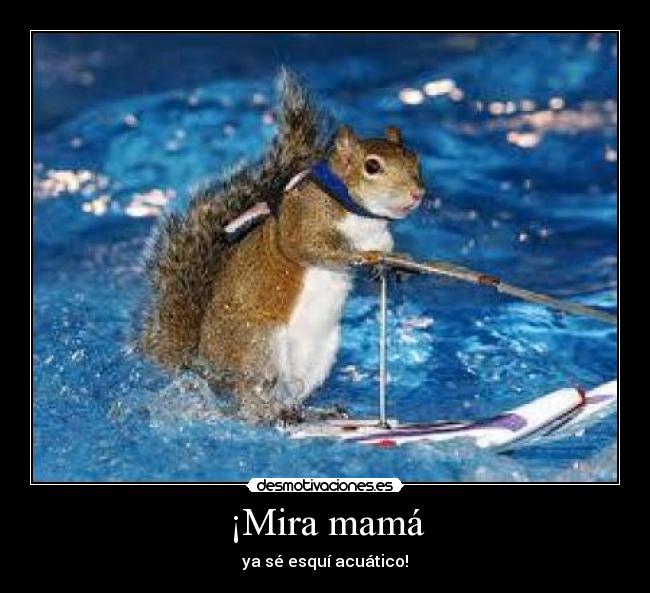 ¡Mira mamá - ya sé esquí acuático!