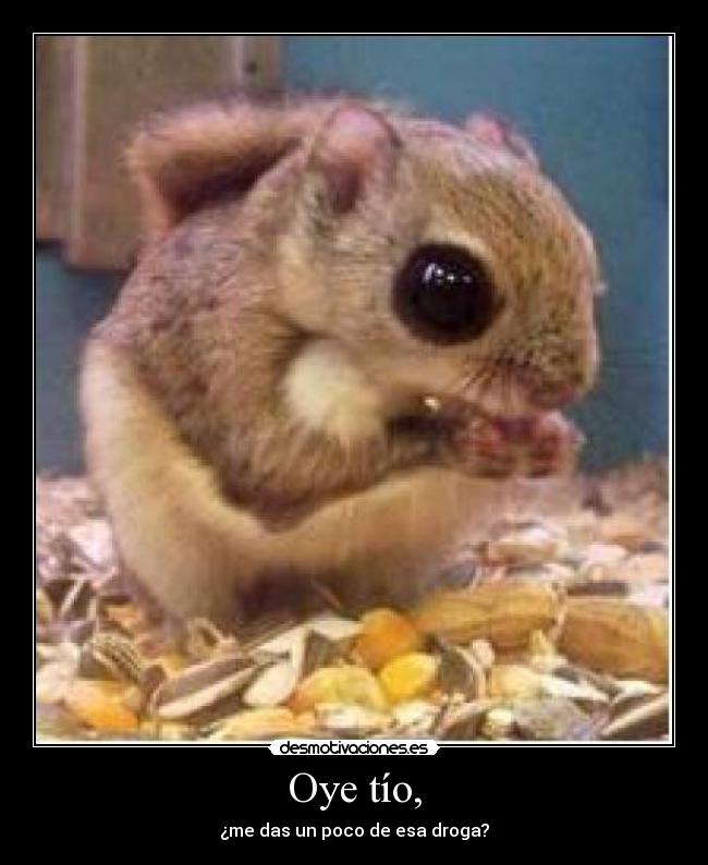 Oye tío, - ¿me das un poco de esa droga?