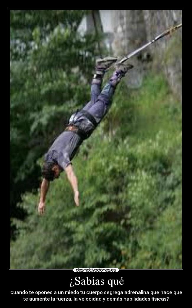 ¿Sabías qué - cuando te opones a un miedo tu cuerpo segrega adrenalina que hace que
te aumente la fuerza, la velocidad y demás habilidades físicas?