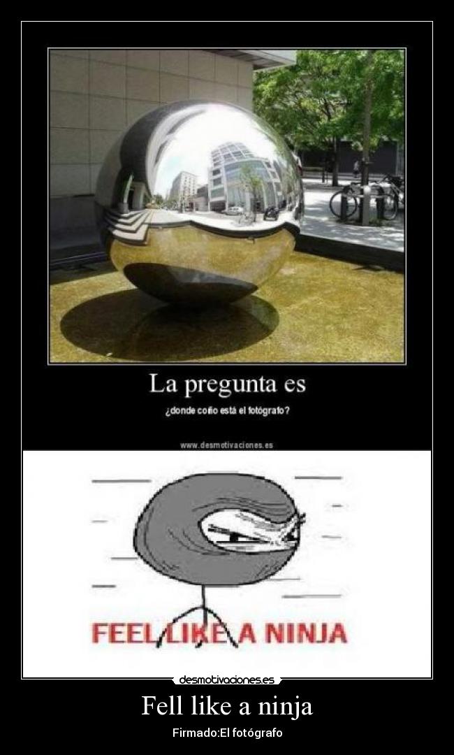 Fell like a ninja - Firmado:El fotógrafo