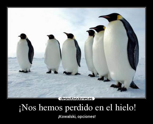 ¡Nos hemos perdido en el hielo! -