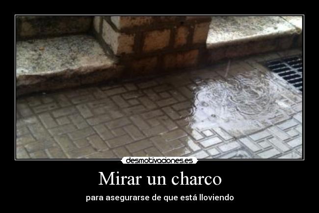 Mirar un charco - para asegurarse de que está lloviendo