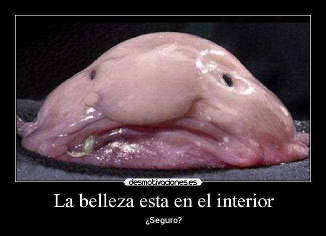 La belleza esta en el interior - ¿Seguro?