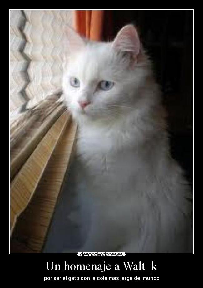 carteles homenaje walt_k desmotivaciones