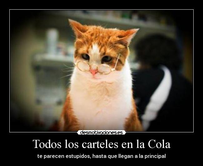 Todos los carteles en la Cola - 