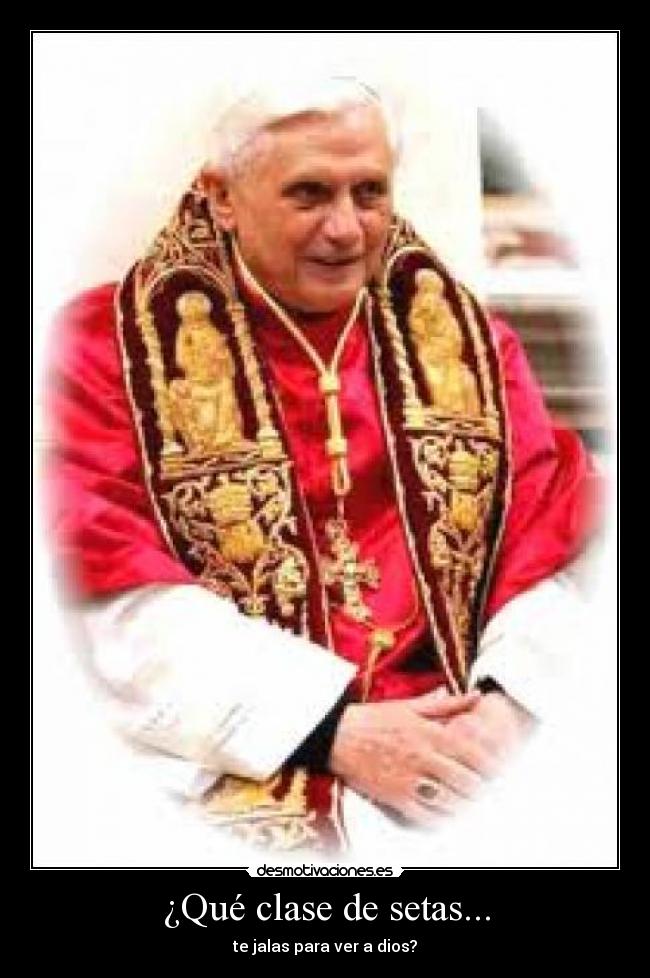 ¿Qué clase de setas... - 