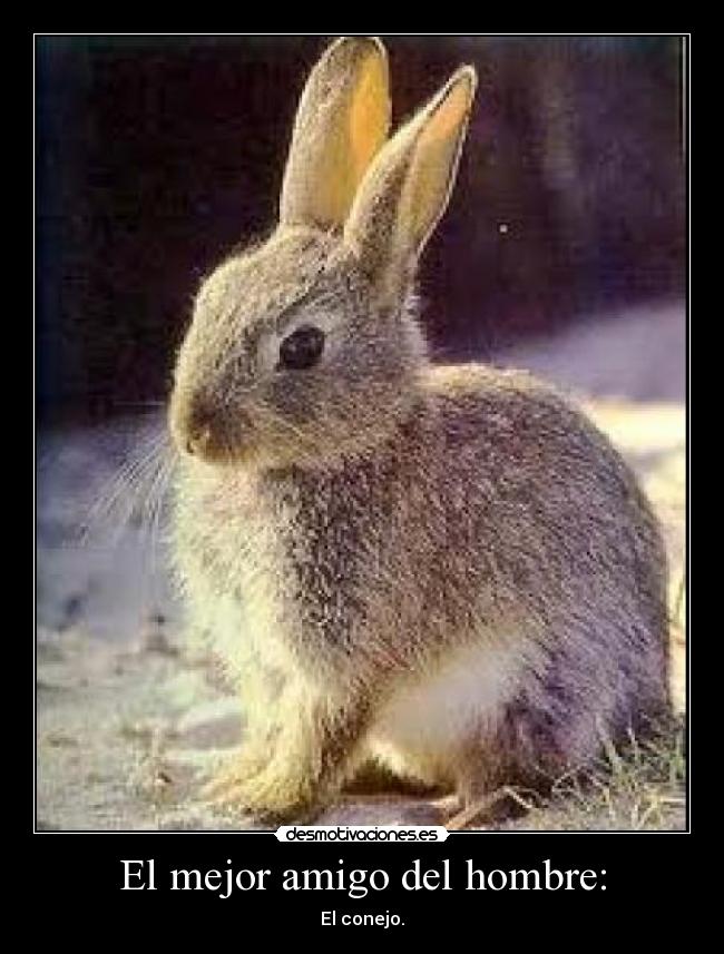 El mejor amigo del hombre: - 