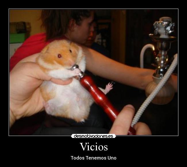 Vicios - 