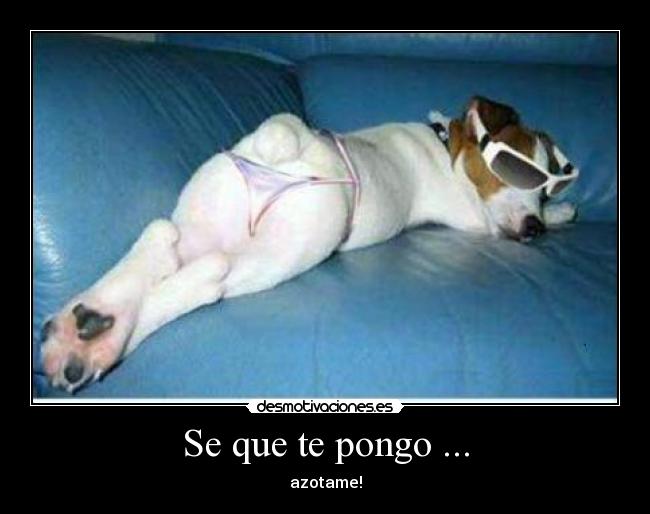 Se que te pongo ... - azotame!