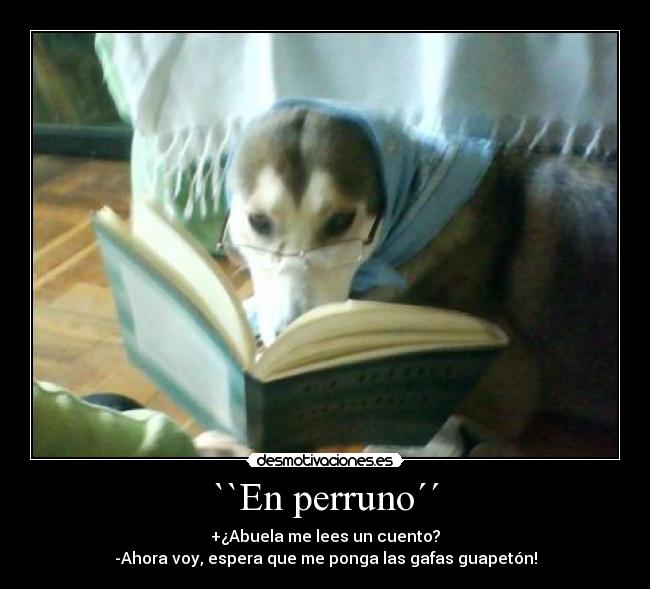 ``En perruno´´ - 