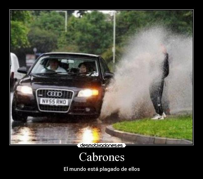 Cabrones - 