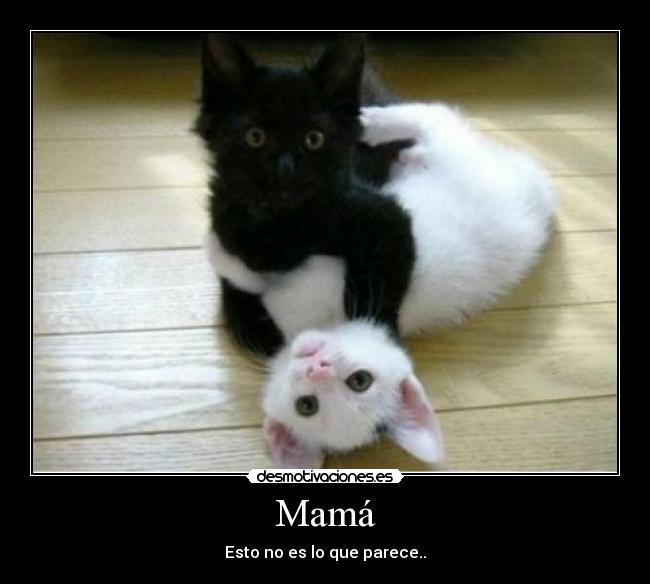 Mamá - Esto no es lo que parece..