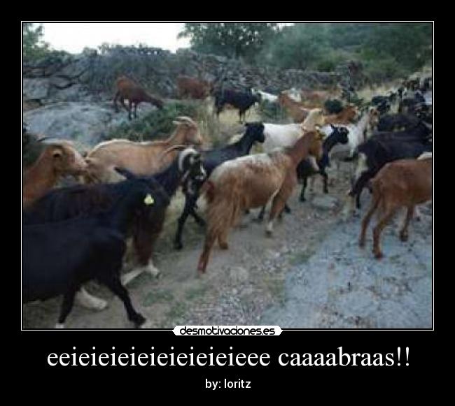 carteles sssa desmotivaciones