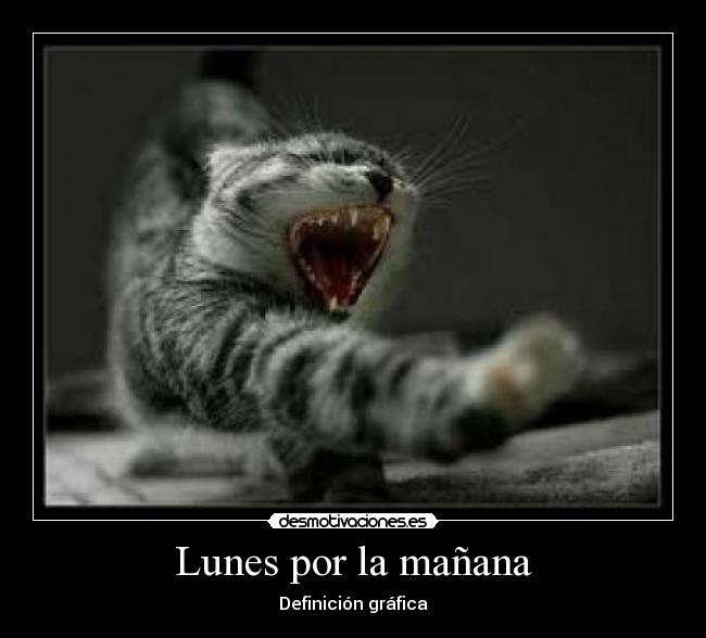 Lunes por la mañana - Definición gráfica