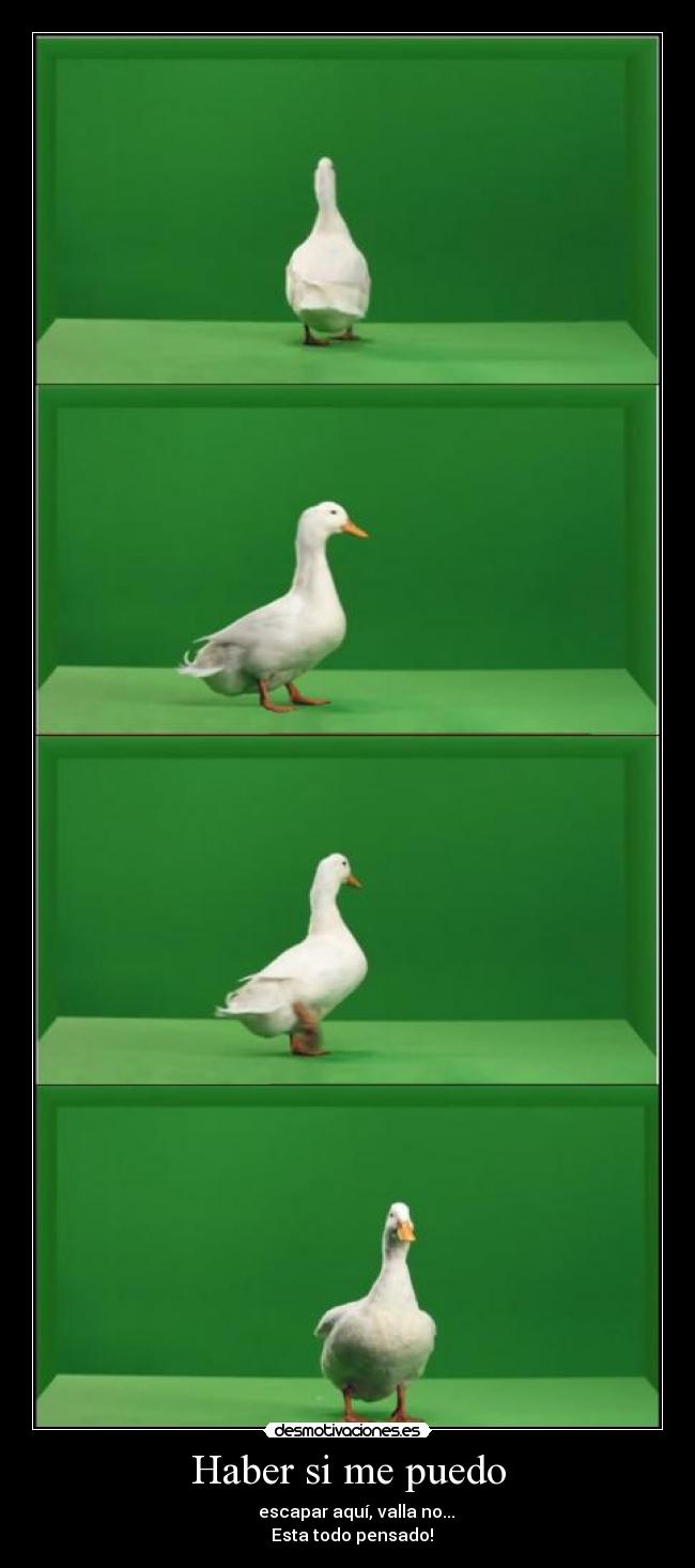 Haber si me puedo -