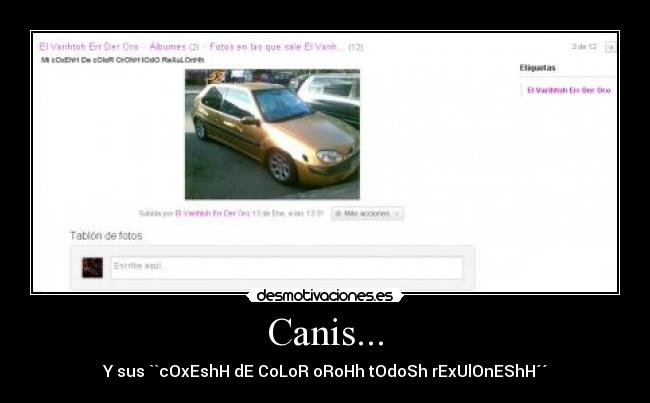 Canis... - Y sus ``cOxEshH dE CoLoR oRoHh tOdoSh rExUlOnEShH´´