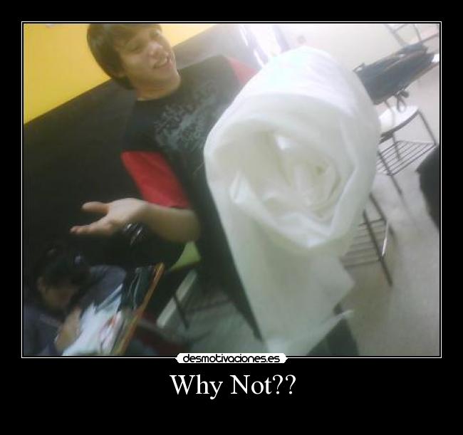 carteles why not desmotivaciones