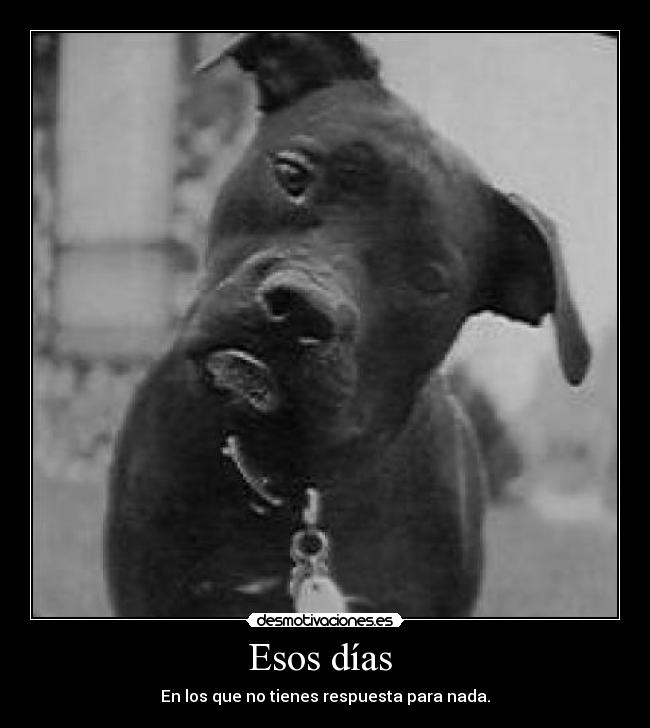 Esos días  - En los que no tienes respuesta para nada.