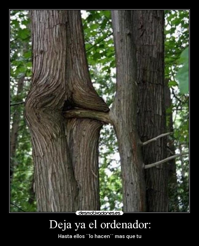 carteles arboles follando desmotivaciones