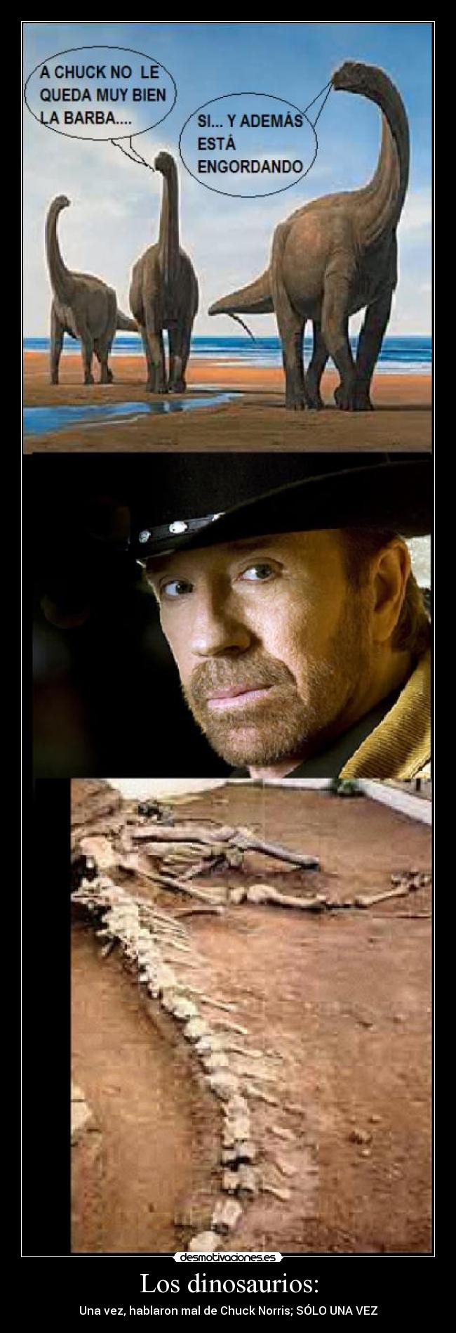 Los dinosaurios: - Una vez, hablaron mal de Chuck Norris; SÓLO UNA VEZ