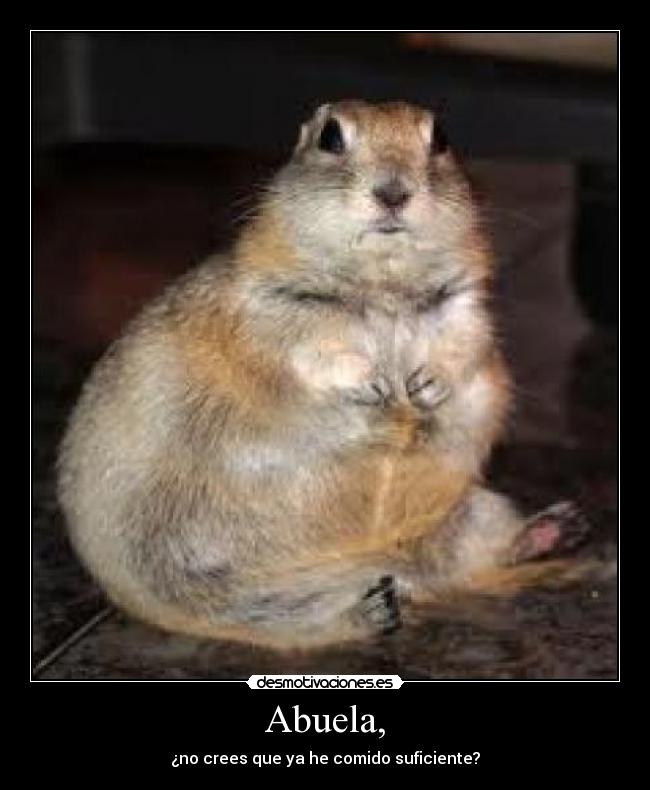 Abuela, - ¿no crees que ya he comido suficiente?