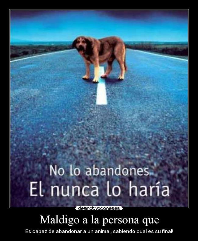 Maldigo a la persona que - Es capaz de abandonar a un animal, sabiendo cual es su final!