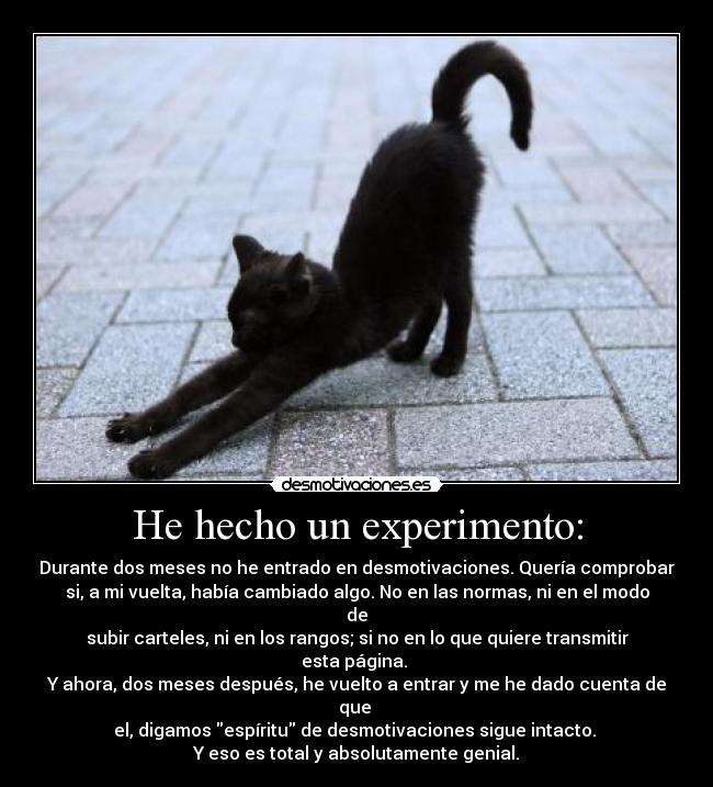 He hecho un experimento: - Durante dos meses no he entrado en desmotivaciones. Quería comprobar
si, a mi vuelta, había cambiado algo. No en las normas, ni en el modo de
subir carteles, ni en los rangos; si no en lo que quiere transmitir esta página. 
Y ahora, dos meses después, he vuelto a entrar y me he dado cuenta de que 
el, digamos espíritu de desmotivaciones sigue intacto. 
Y eso es total y absolutamente genial.