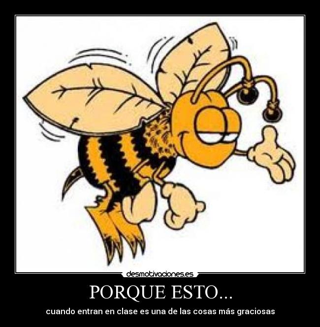 PORQUE ESTO... - 