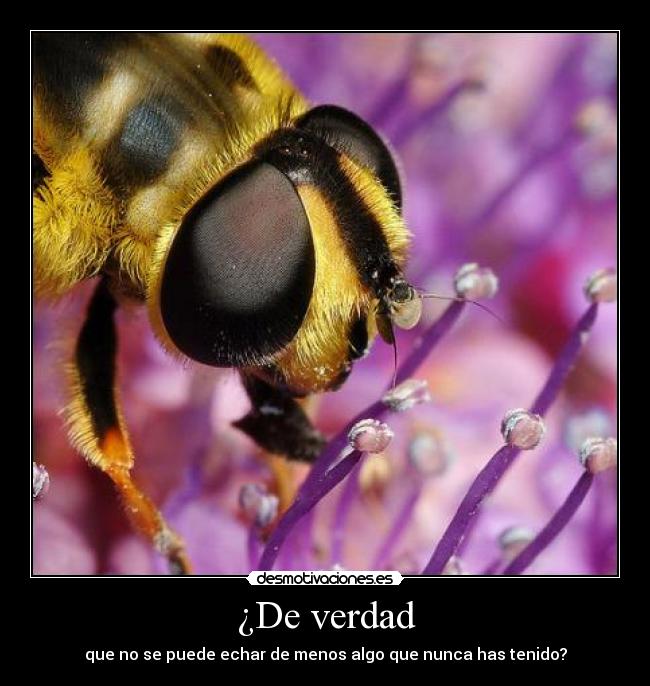 ¿De verdad -