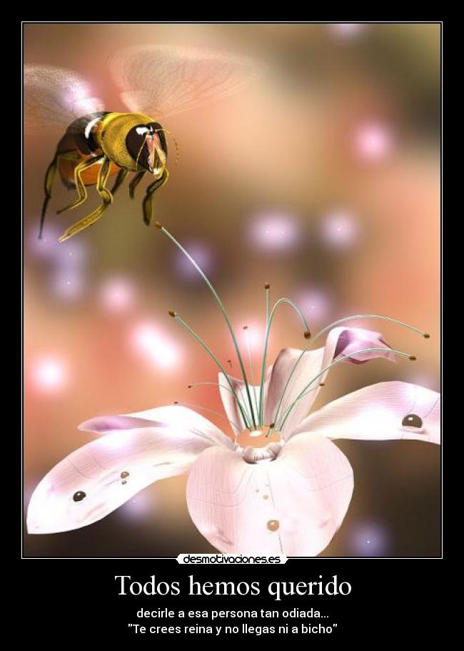 Todos hemos querido -