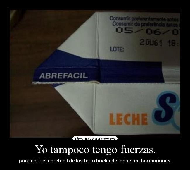 Yo tampoco tengo fuerzas. - 