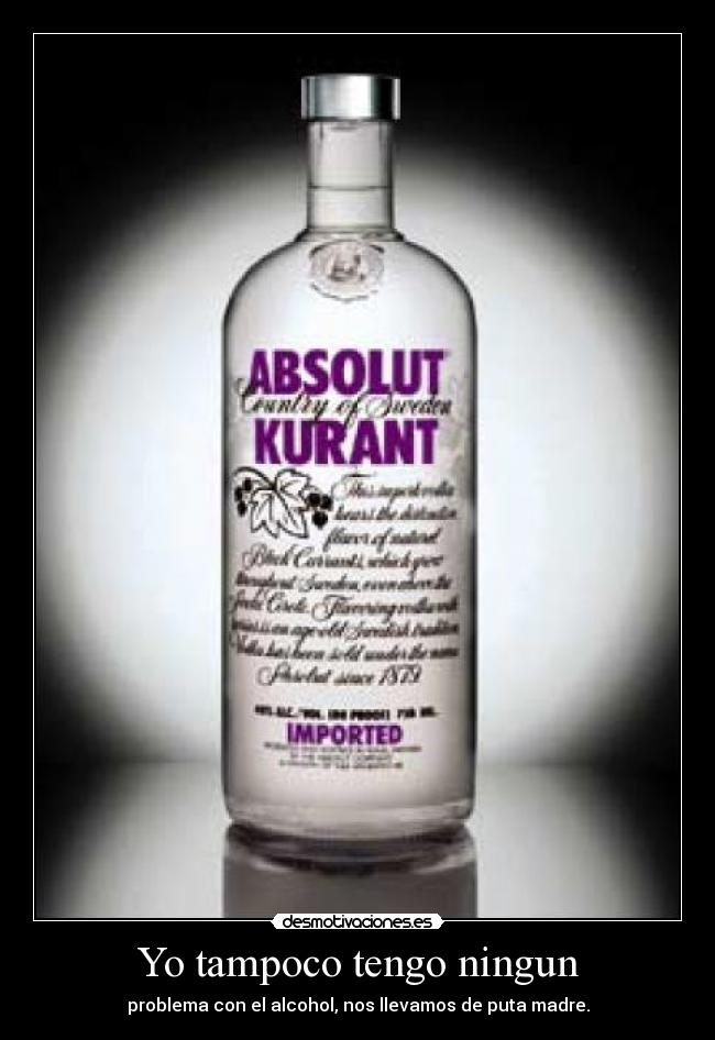 Yo tampoco tengo ningun - problema con el alcohol, nos llevamos de puta madre.