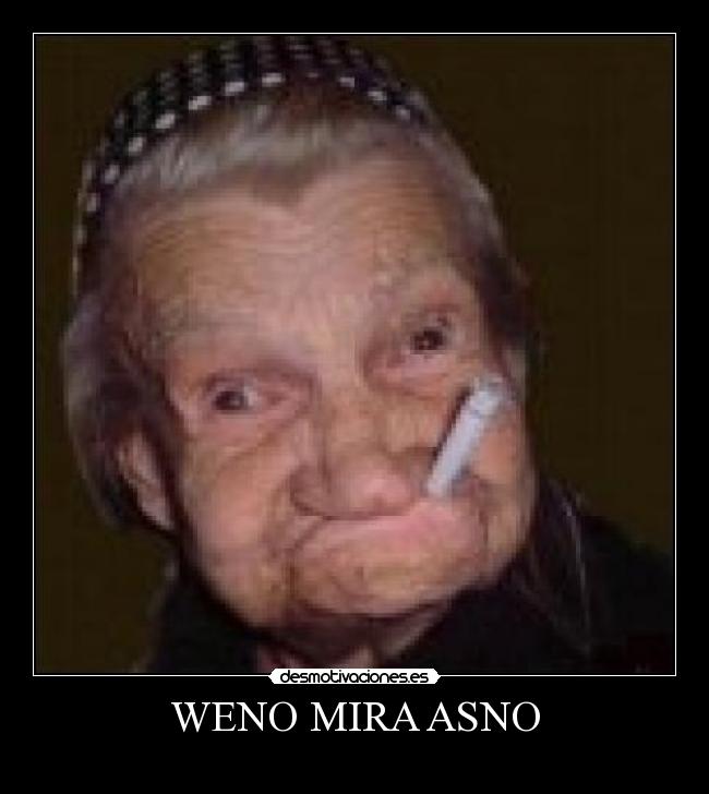 WENO MIRA ASNO -