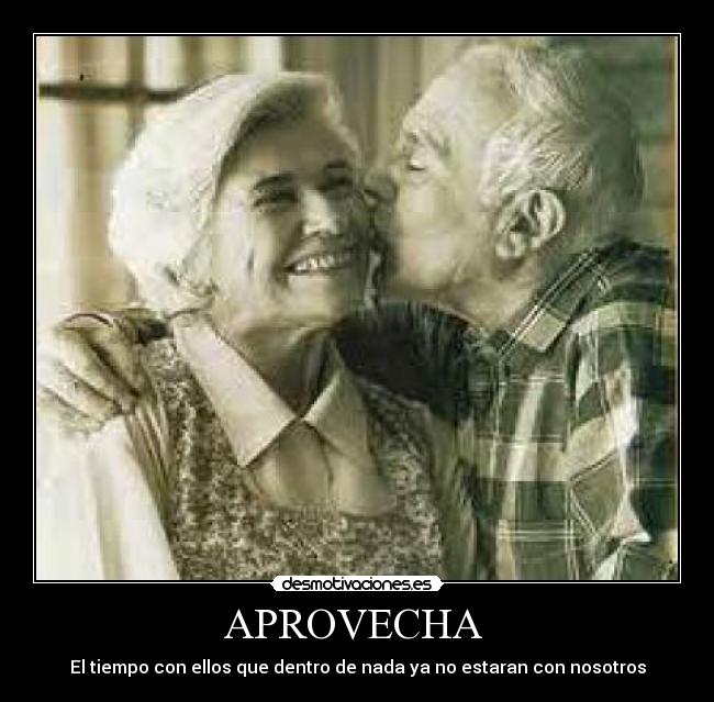 APROVECHA -