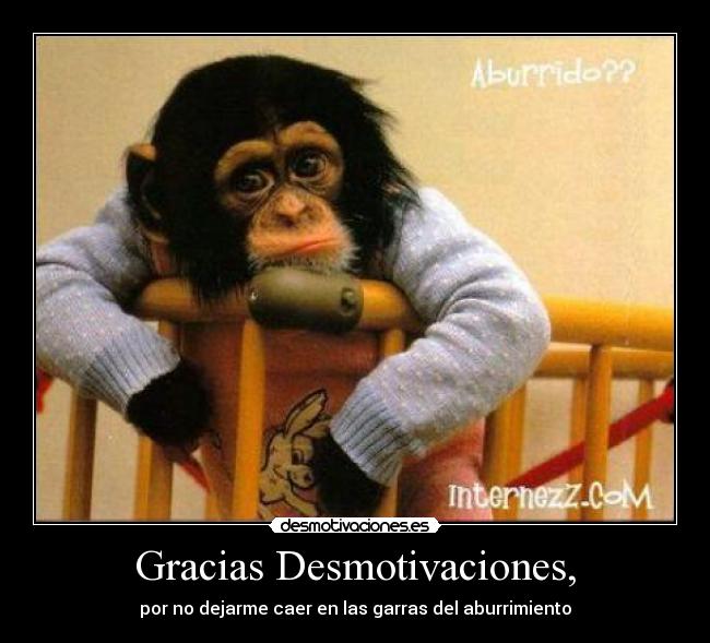 carteles desmotivaciones aburrimiento desmotivaciones gracias mono desmotivaciones