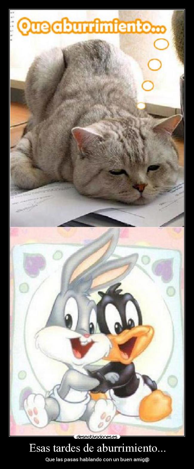 Esas tardes de aburrimiento... - Que las pasas hablando con un buen amig@