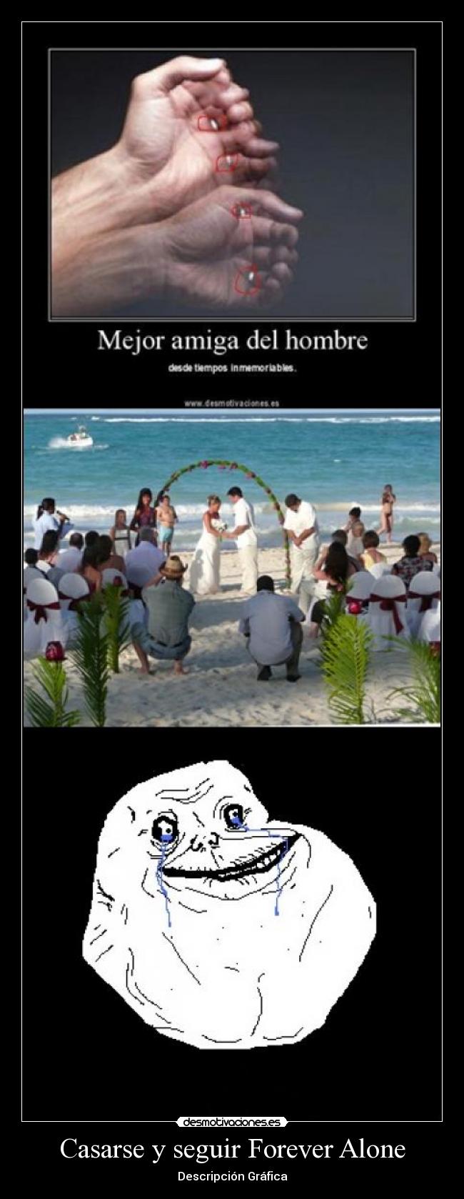 Casarse y seguir Forever Alone - Descripción Gráfica