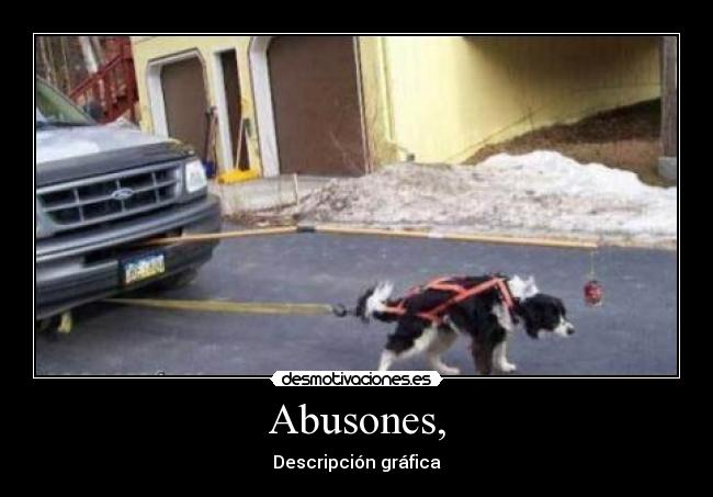 Abusones, - Descripción gráfica