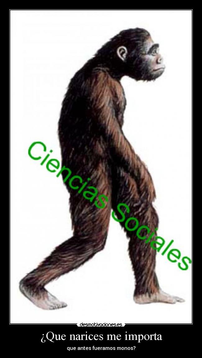 ¿Que narices me importa - 