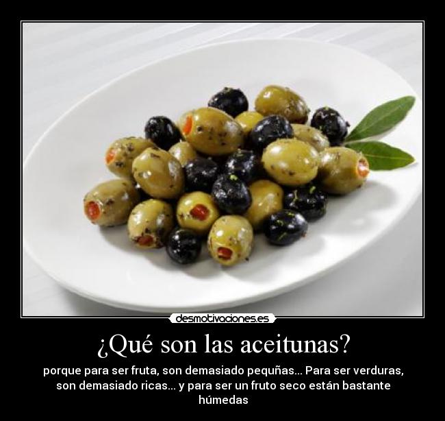 ¿Qué son las aceitunas? - porque para ser fruta, son demasiado pequñas... Para ser verduras,
son demasiado ricas... y para ser un fruto seco están bastante
húmedas