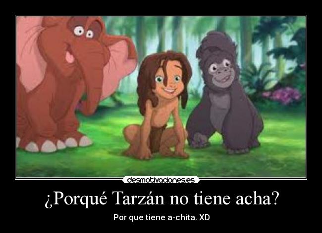 ¿Porqué Tarzán no tiene acha? - Por que tiene a-chita. XD