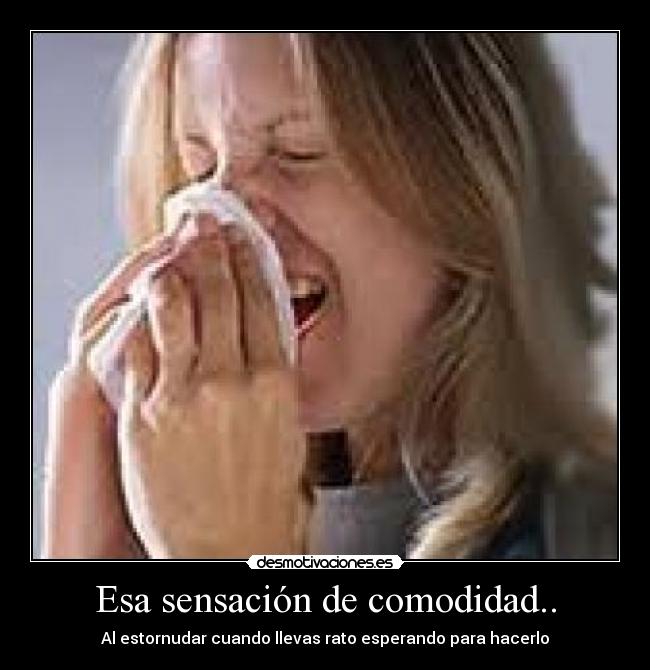 carteles esa sensacion comodidad2 desmotivaciones