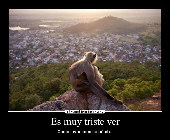 carteles habitat desmotivaciones masterjay desmotivaciones