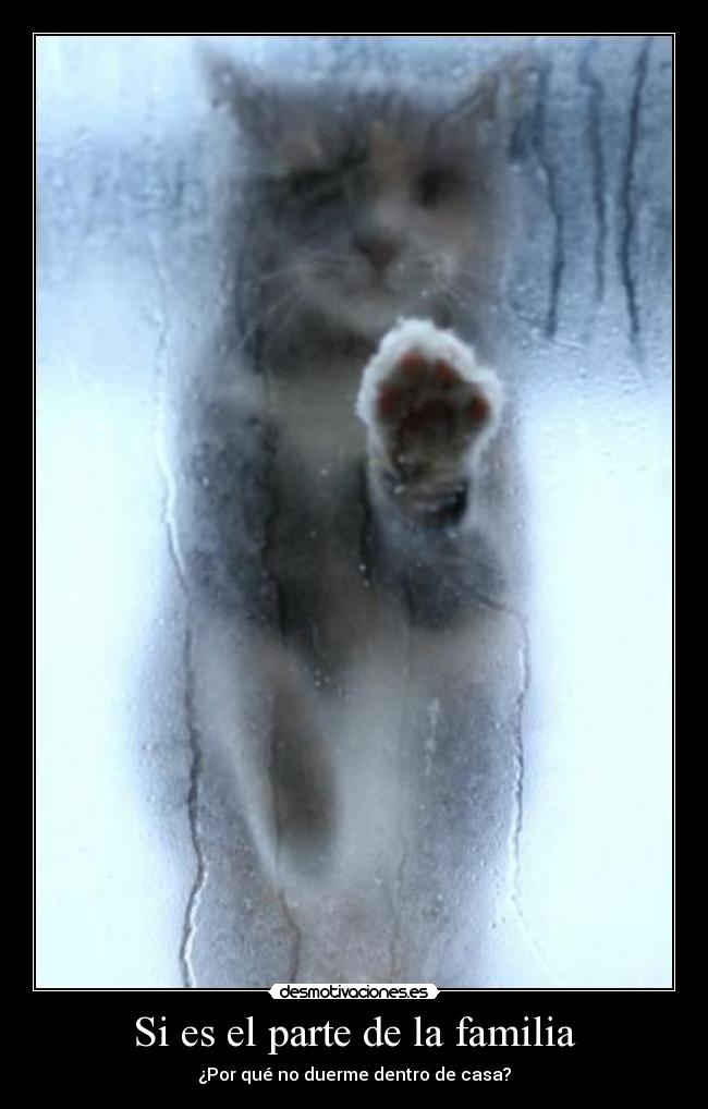 Si es el parte de la familia - ¿Por qué no duerme dentro de casa?