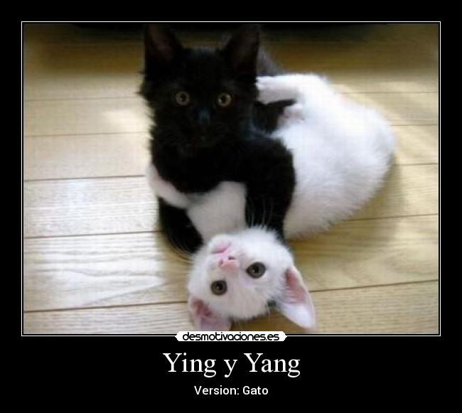 Ying y Yang - 