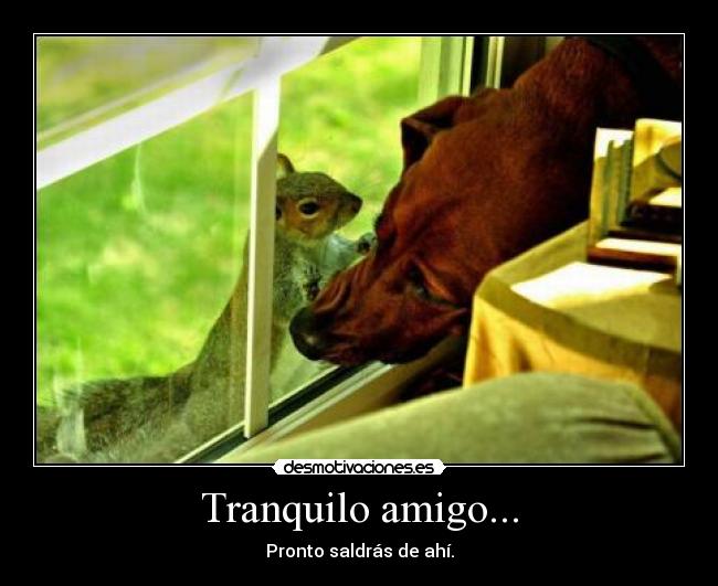 Tranquilo amigo... - Pronto saldrás de ahí.