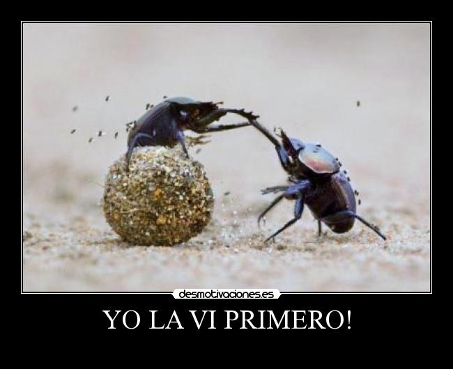 YO LA VI PRIMERO! -