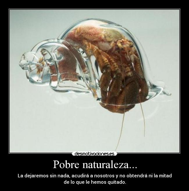 Pobre naturaleza... -